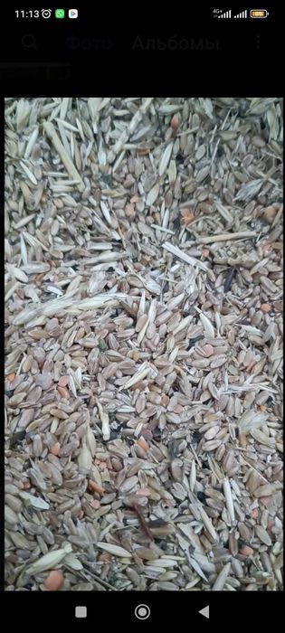 Продам отходы пшеницы