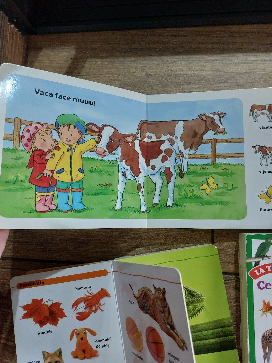Set cărți pentru copii