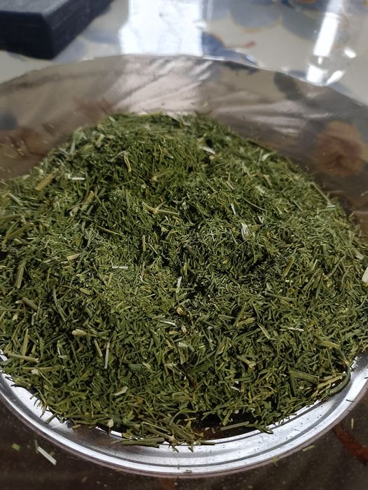 Домашний укропчик