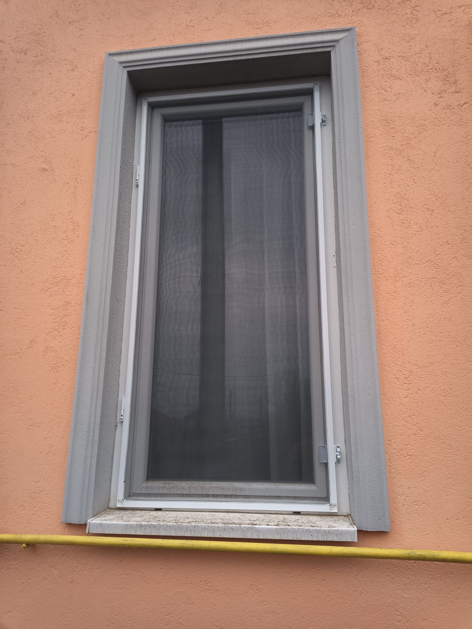Plase insecte / țânțari, prețuri in anunț