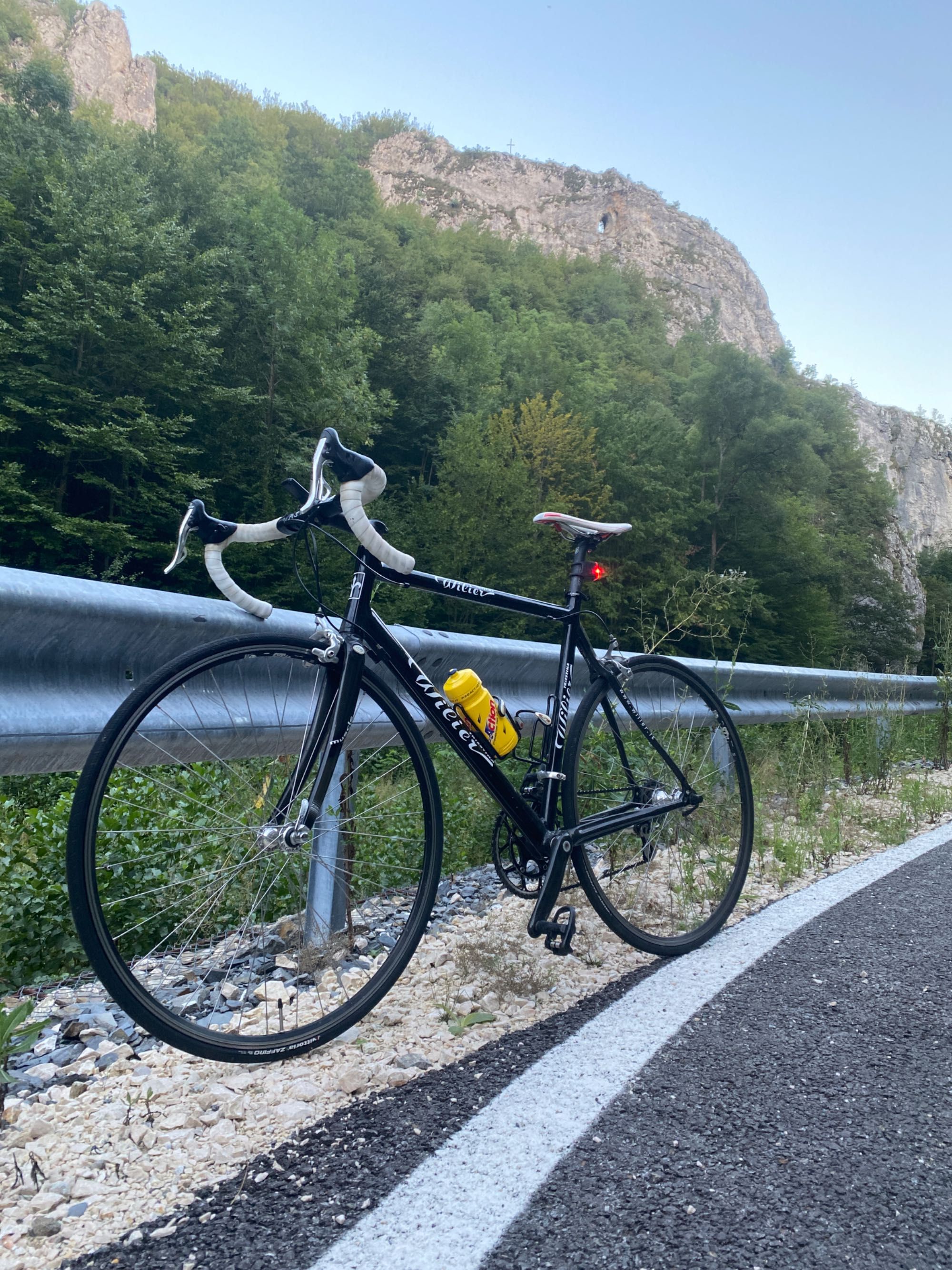 Wilier triestina carbon (cursiera)