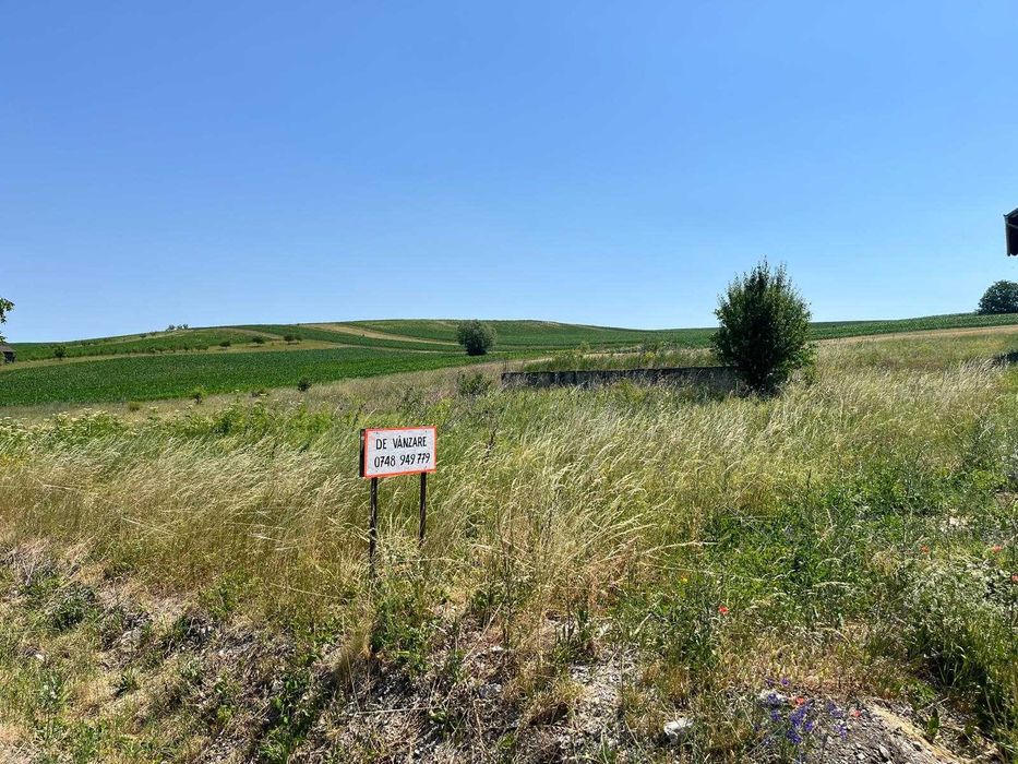 Tureni E60 Teren vanzare constructii Intravilan 1540m²