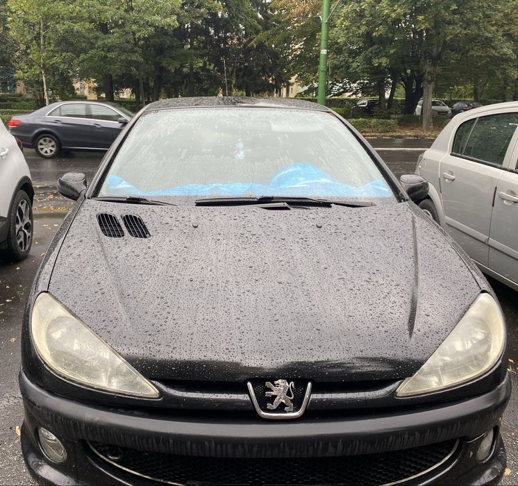 Peugeot 206, an 2006