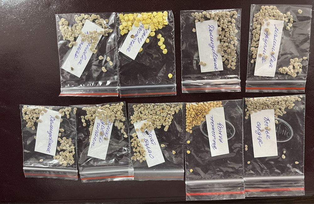 Домашние и профессиональные семена