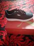Adidasi Puma made Germania