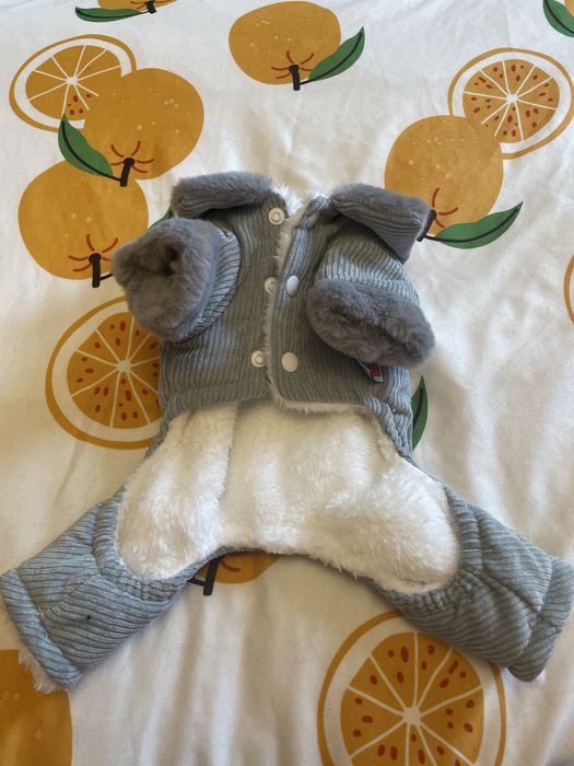 Зимно Яке за Пинчер/Чихуахуа