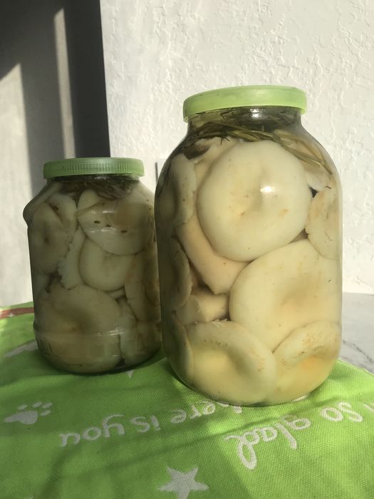 Продам грузди !