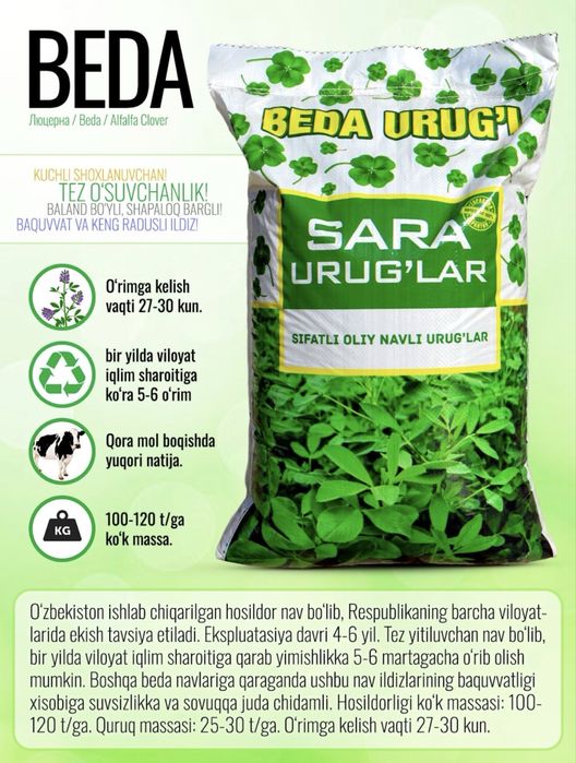 SARA — beda urug’i