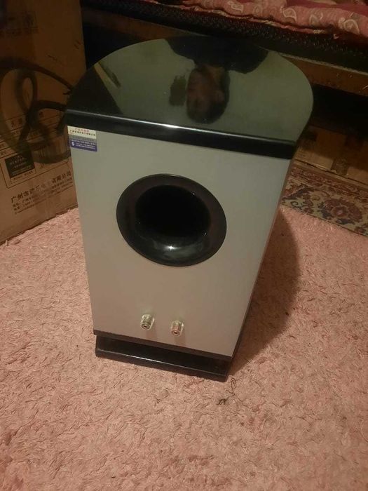 Калонка буфер усилител все в сборе