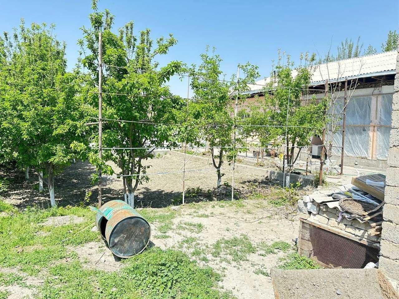 Oqdaryo tumani Yangixayot qishlogi 42-uyda joylashgan turar joy binosi