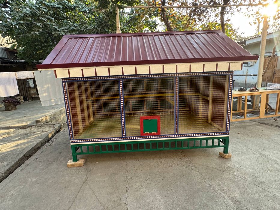 Katak sotiladi 500$ kami bor