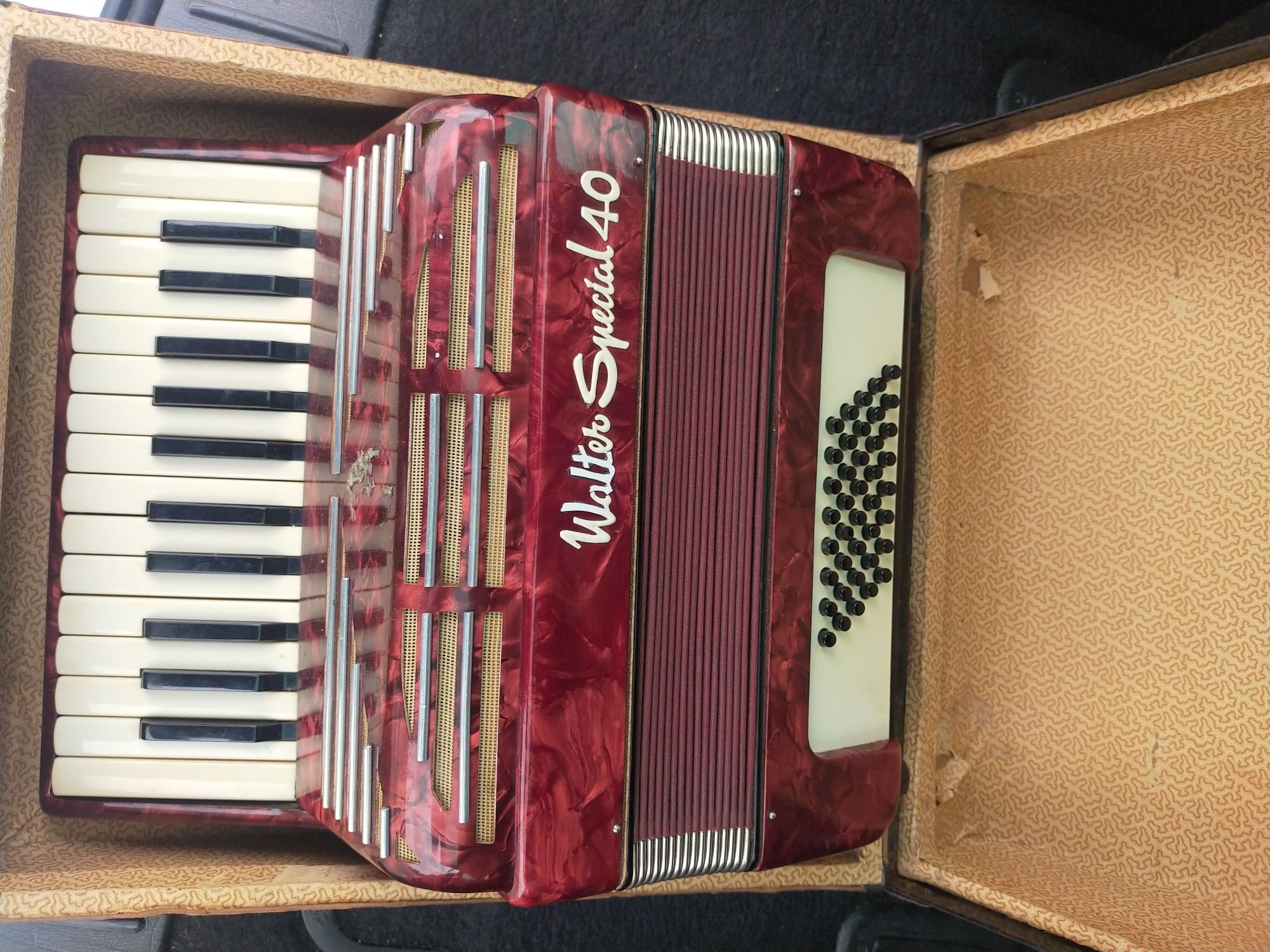 Vand acordeon weltmeister