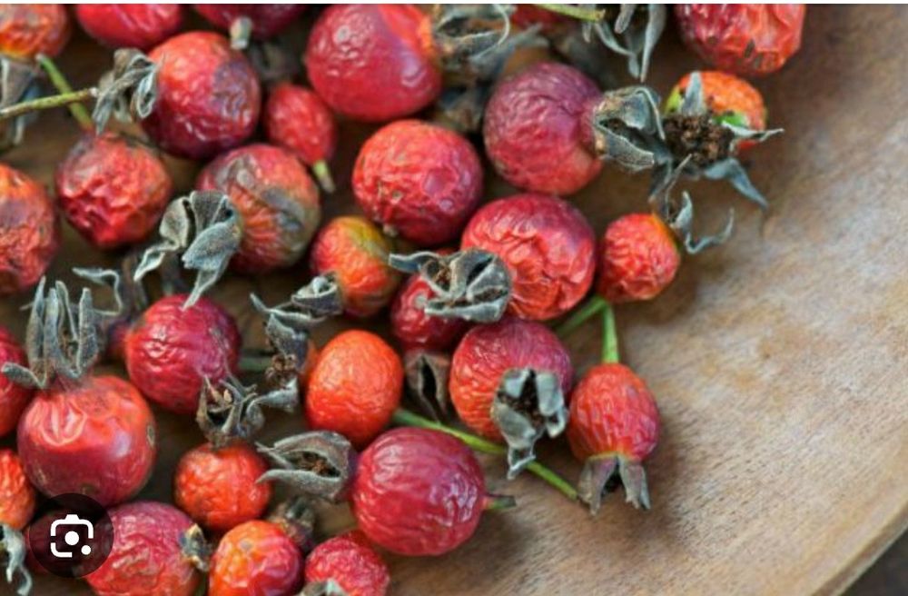 Итмұрын шиповник сатылады