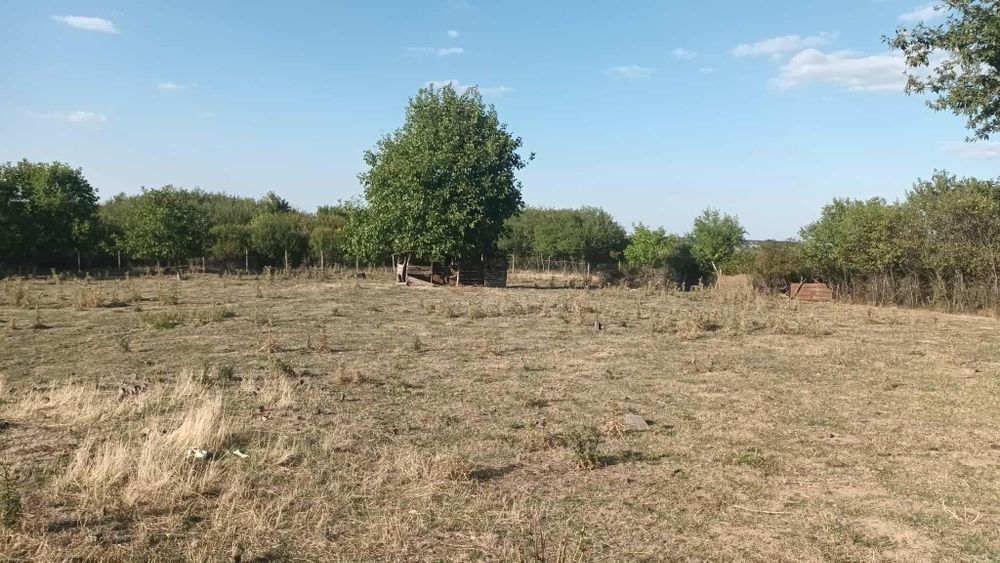 Къща в с. Глашатай, Община Антоново