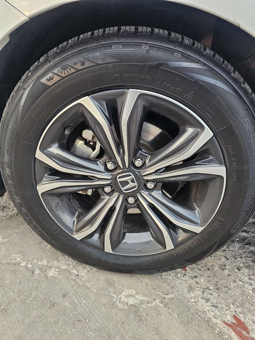 Honda enviks yili 2023 holati zur