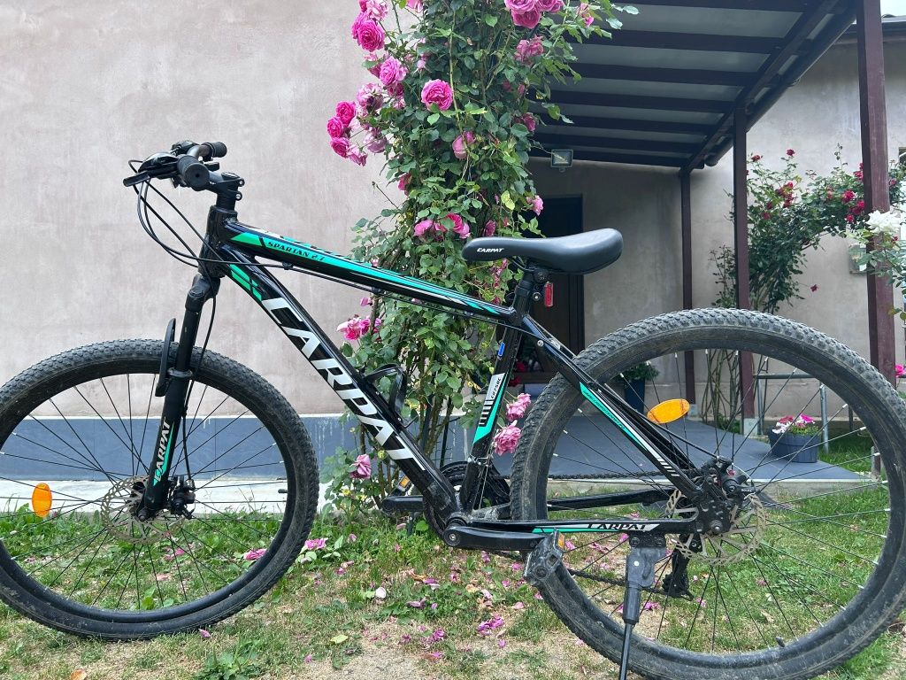 Bicicleta  pentru copii sau adulți