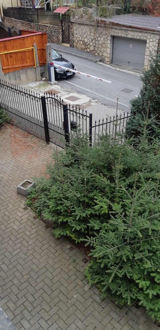 UltraCentral Bv casa vanzare de la proprietar