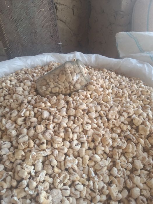 Mazzali popcorn kukuruzni