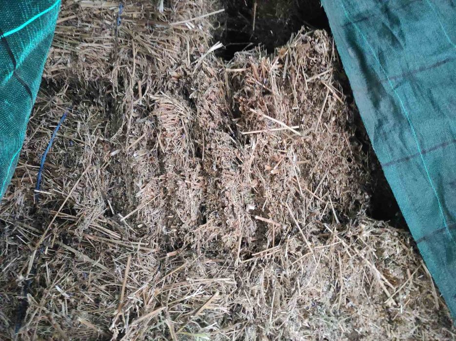 Синчец, корен валериана, стрък вратига,синя метличина,лавандулов цвят