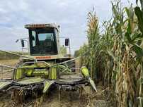 Prestez servicii tocat porumb siloz (tocatoare claas jaguar)