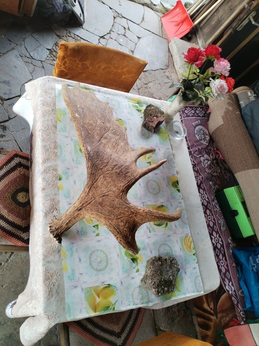 Vând ornament decorativ!!