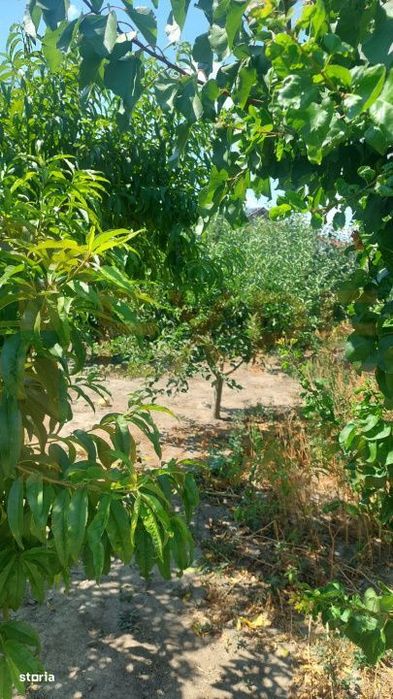 Casa in centrul Cobadinului, COMISION 0%