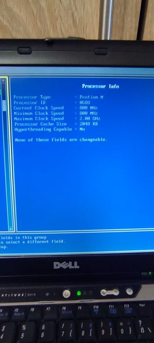 Laptop Dell D410 Cititi Anuntul