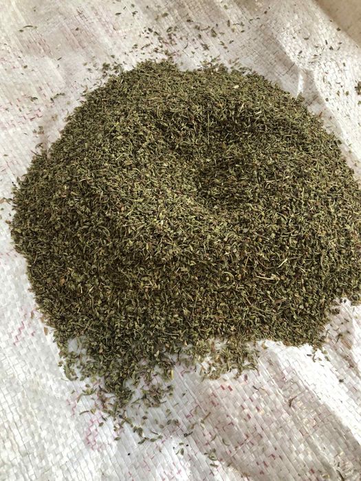 Семена от чубрица