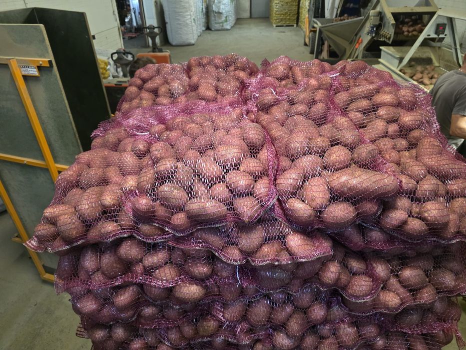 Sarmasag gări 111 FRUCTE ȘI LEGUME EN-GROS