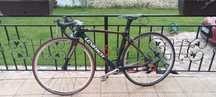 Cursiera carbon Levrier