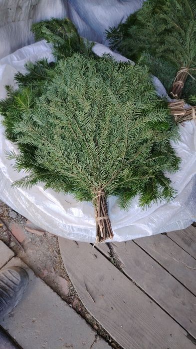 Продам банные веники из можжевельника и пихты
