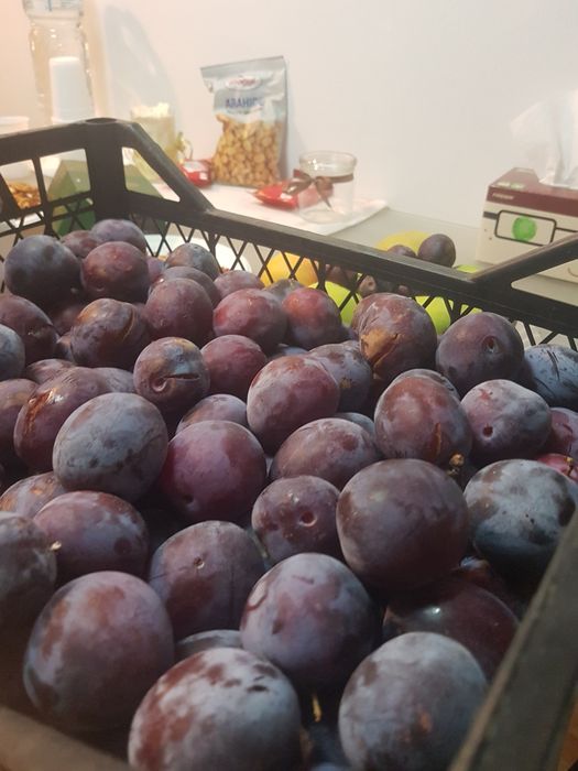 Prune de vanzare pentru preparare tuica palinca