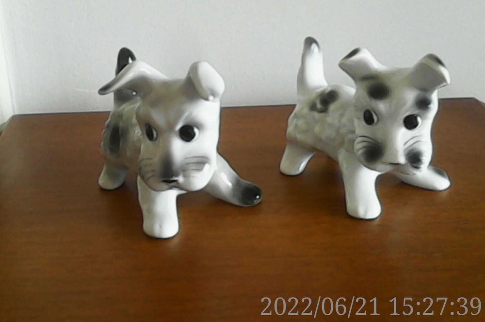 Catelusi Portelanul Alba Iulia