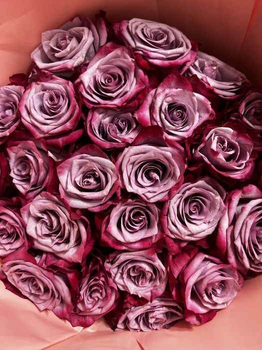 красивый букет роз