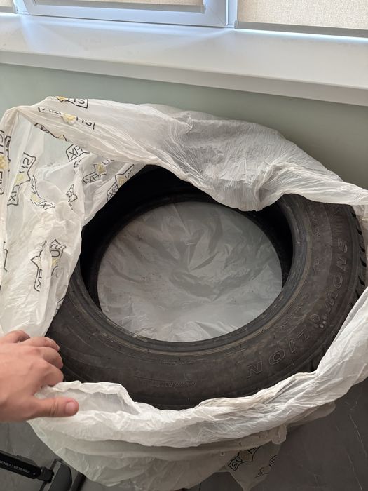 Щины зимние Triangle