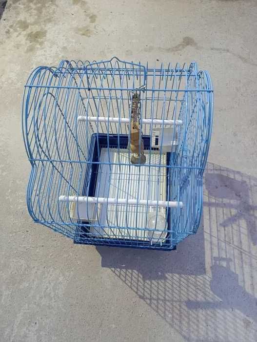 Cușcă mare de păsări