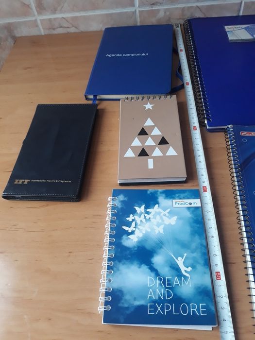 Caiete de diferite marimi