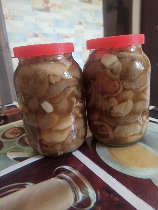 Продам грибы маринованные маслята