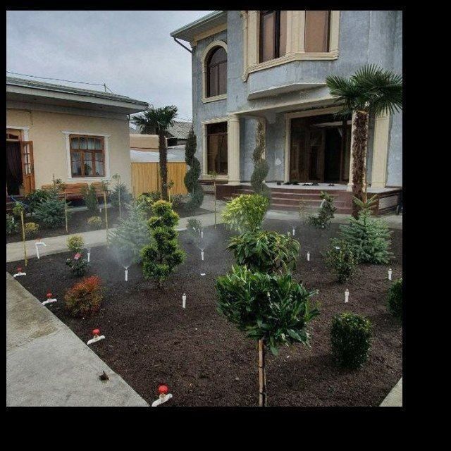 Savdoning lashaf dizayin qilish