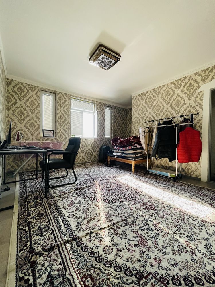 Kotej arzon narhda sotiladi 57000