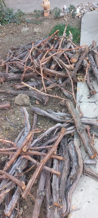 O'tin/  дрова текинга