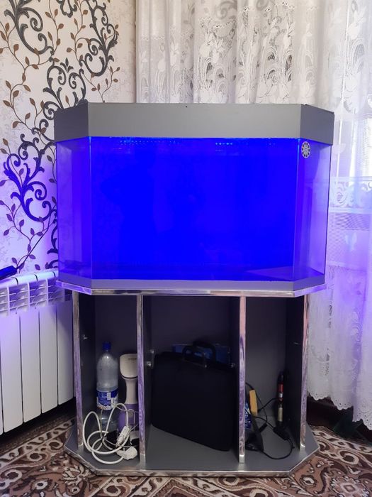 Aquvarium sotiladi srochna.