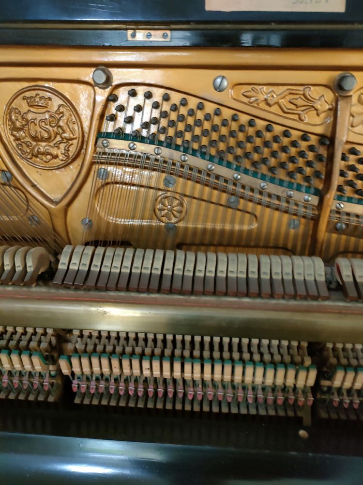 Pianina stare excepțională