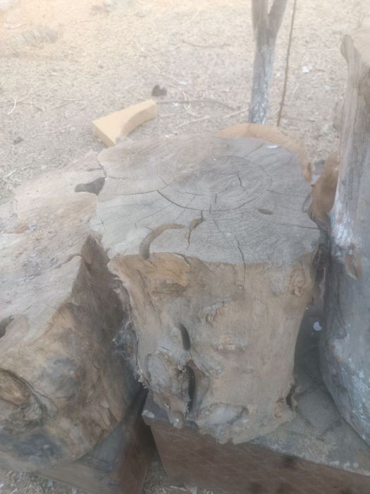 Тонка гош учун  сифатли