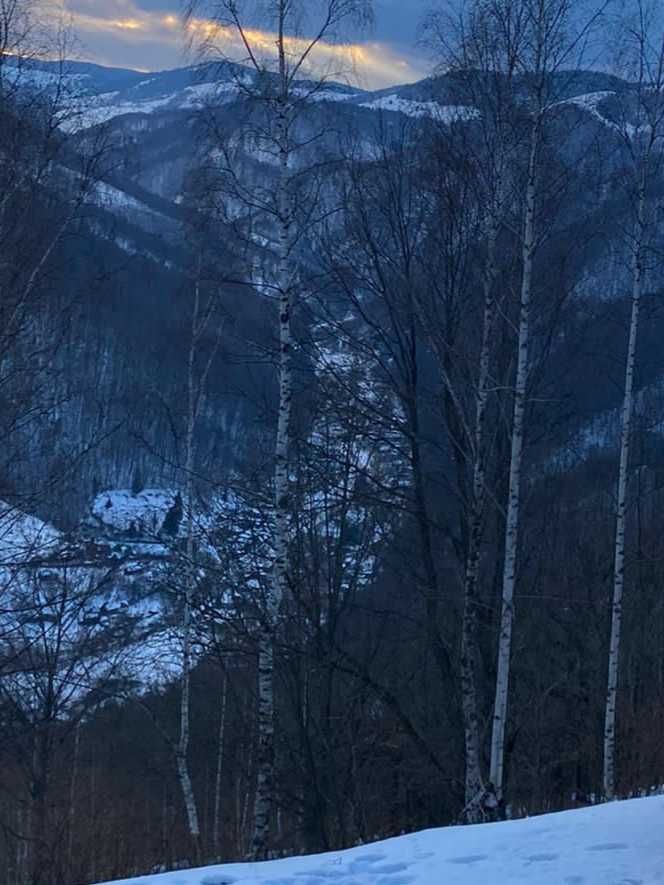 Vand teren Muntele Rece panorama spre Valea Ierii