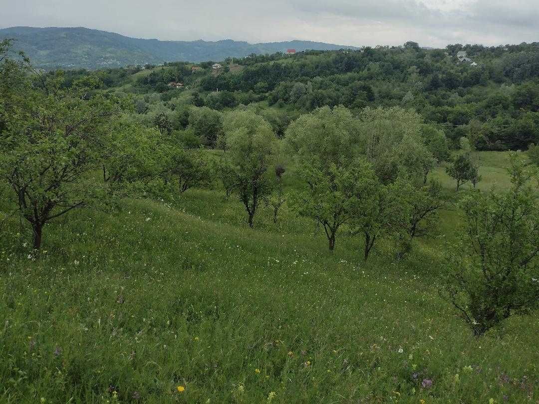 Teren intravilan,utilitati bransate,1,5 ha,Valenii de Munte,Drajna.