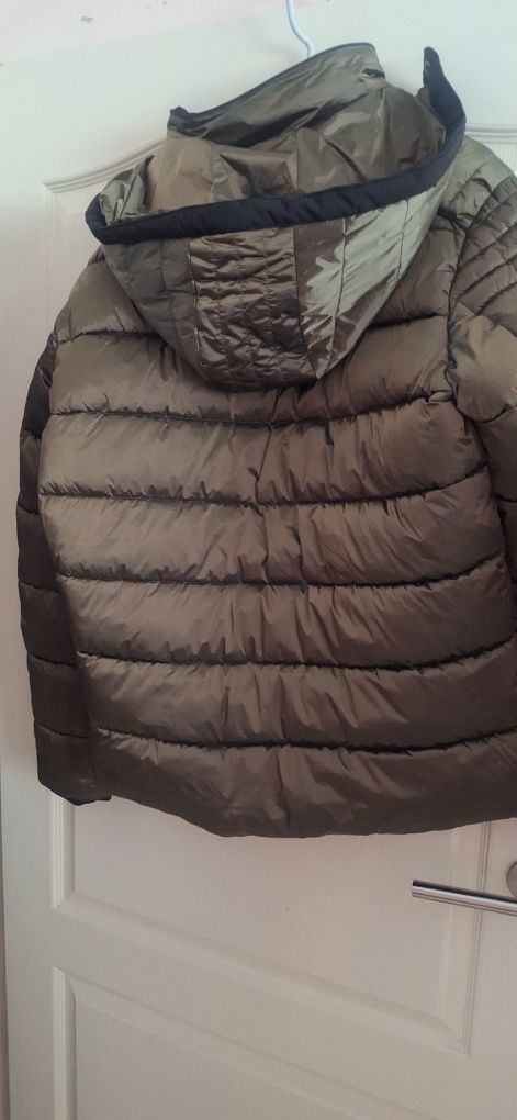 Мъжко пролетно зелено яке Xl