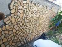 Vând plante ornamentale oriunde în țară execut grătare cascade cu tot