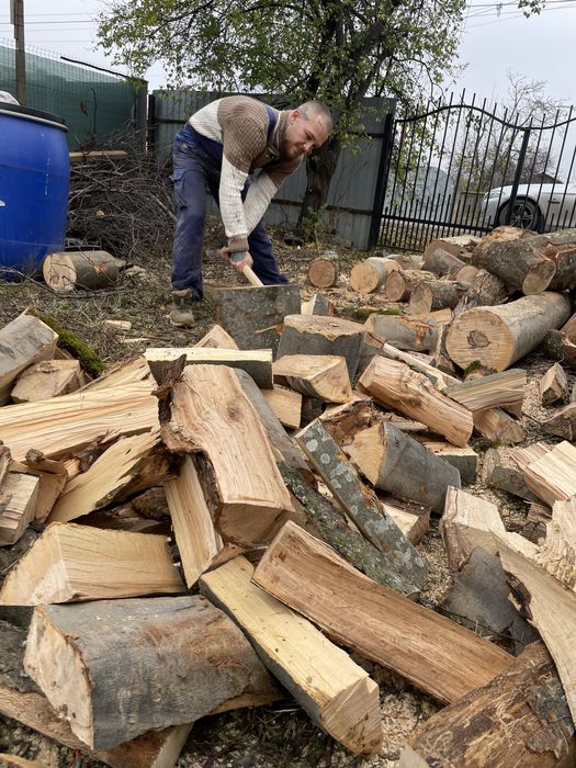 Lemne de foc fag, esenta tare!