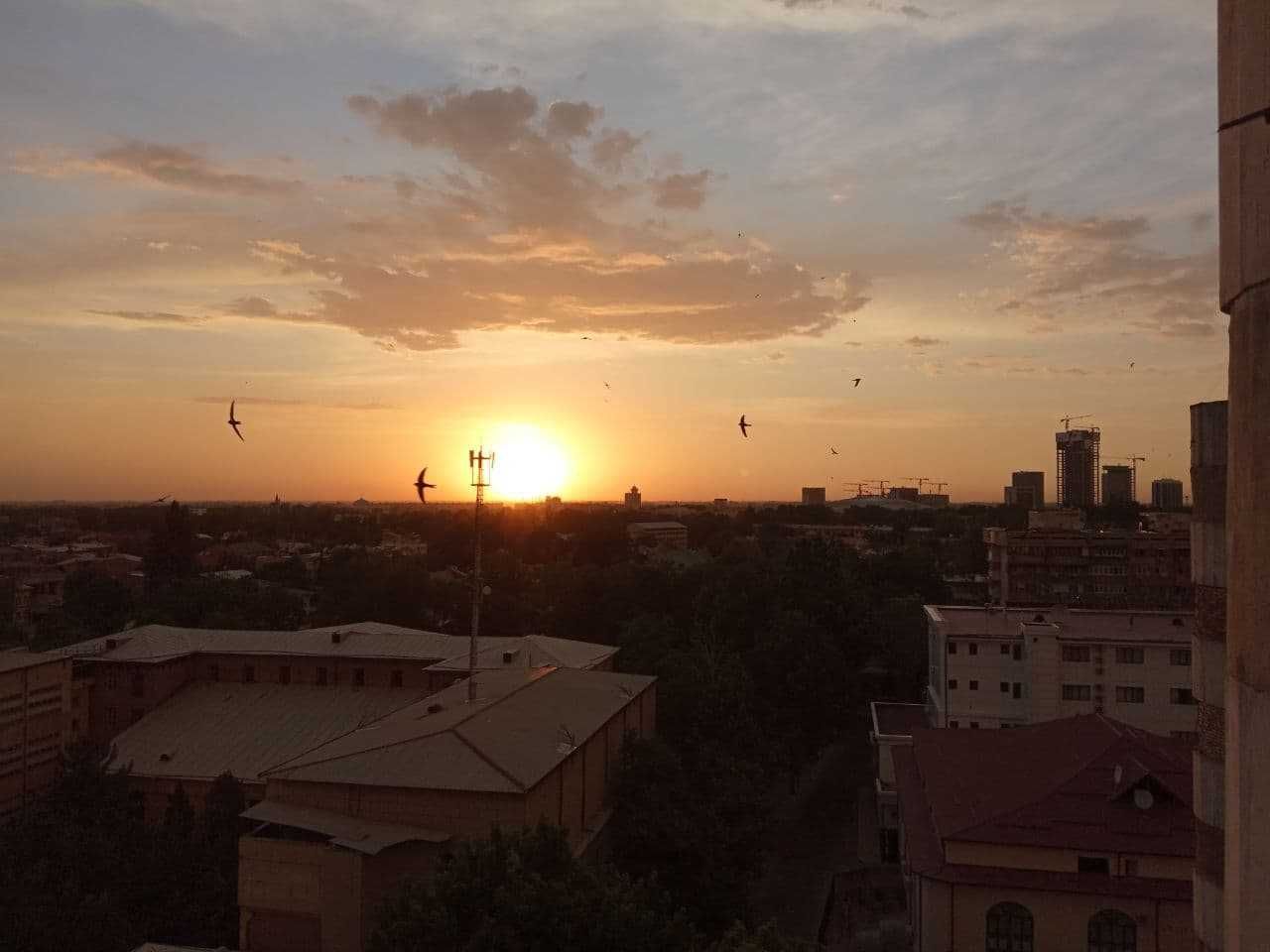 Квартира Студия в центре города